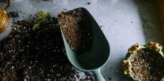 best potting mix for container gardening
